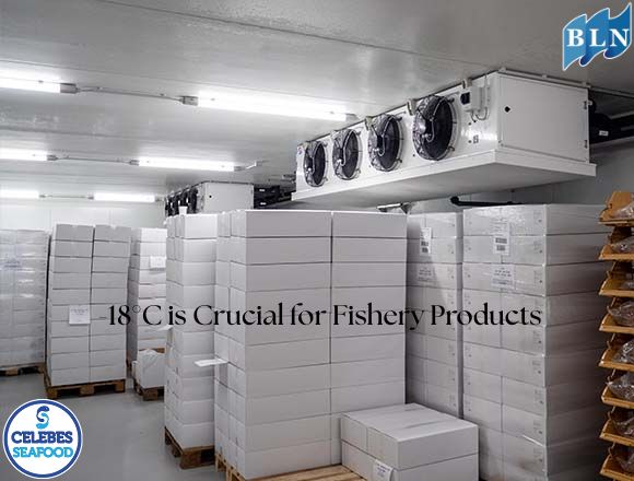 Maintaining Freshness and Safety: Why -18°C is Crucial for Fishery Products